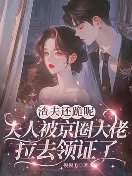 渣夫还跪呢,夫人被京圈大佬拉去领证了全文免费阅读