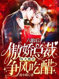 六胎后,傲娇总裁每天都在争风吃醋全文免费阅读